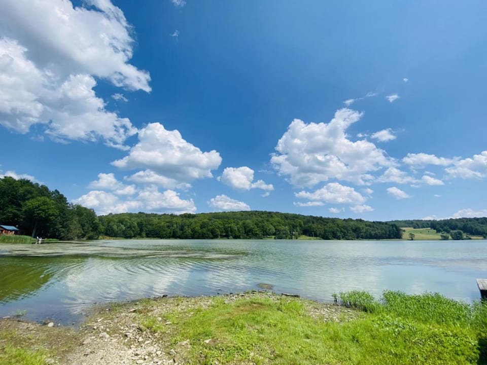 Lake view