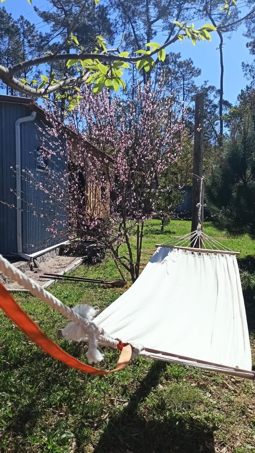 Spring, Day, Natural landscape, Garden, Garden view