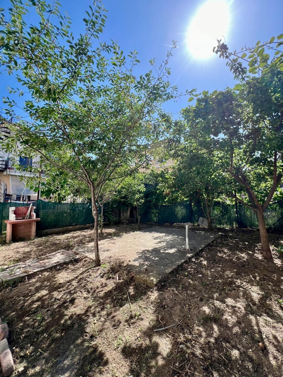 Garden view