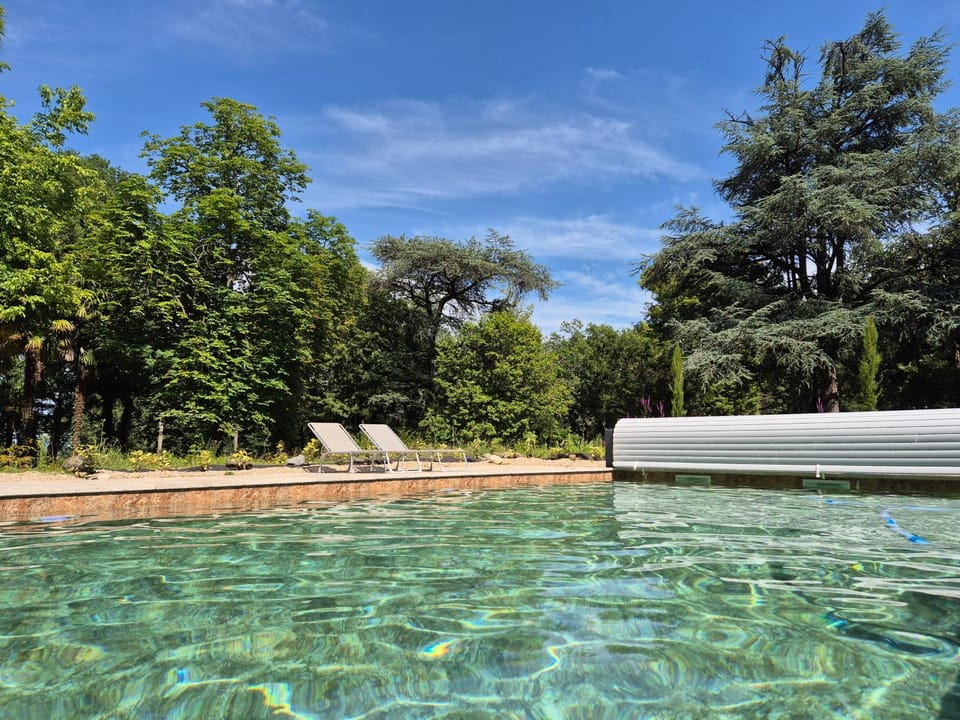Swimming pool, sunbed