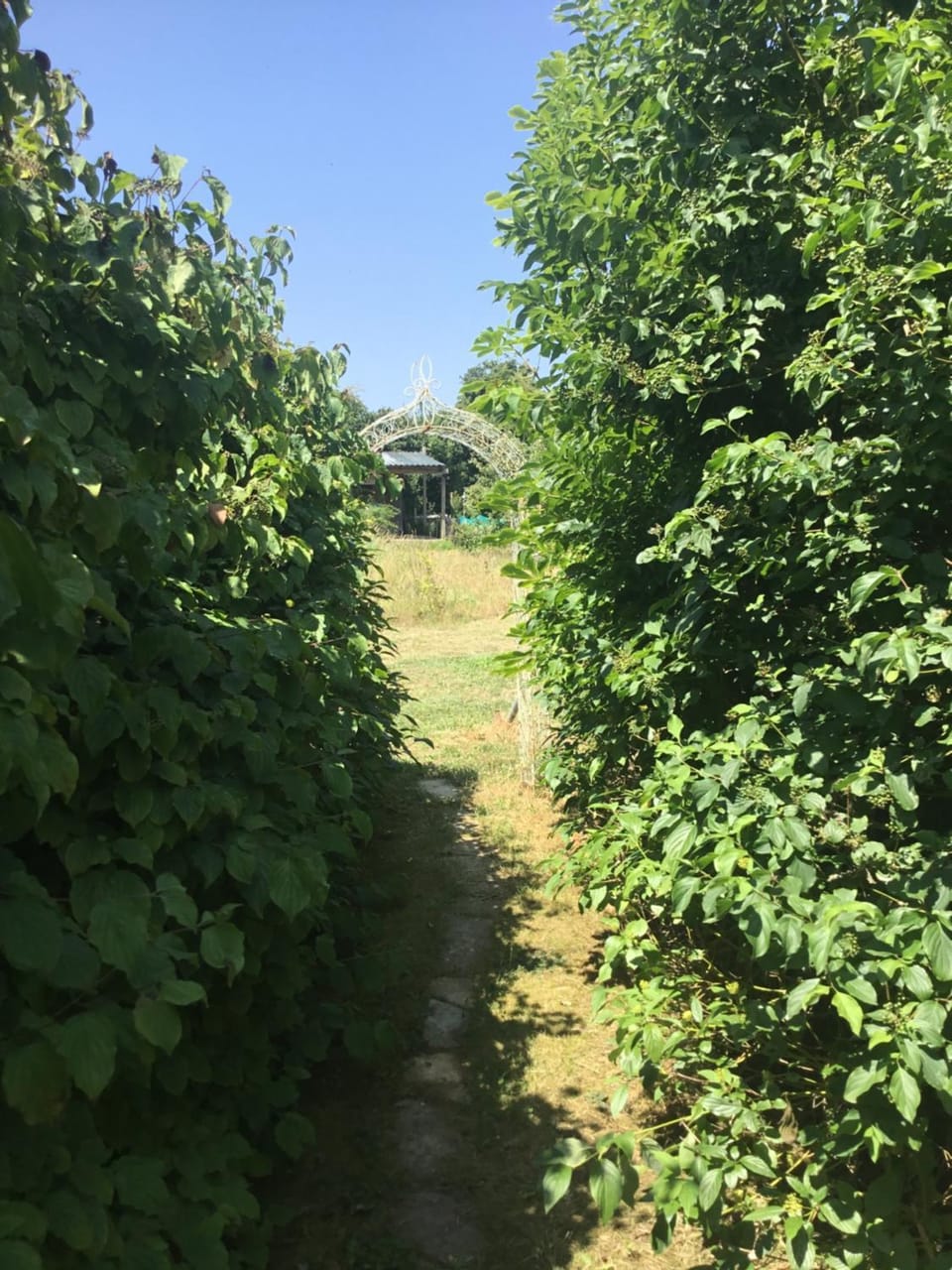 Off grid chalet . HOT TUB & SAUNA. Kid friendly. House in South Somerset District