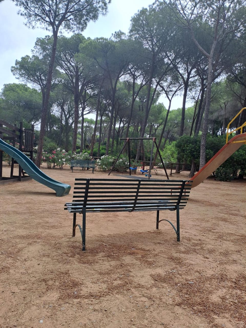 Children play ground