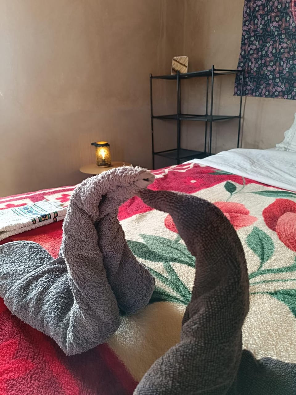 Guest House Nomad Life Bed and Breakfast in Morocco