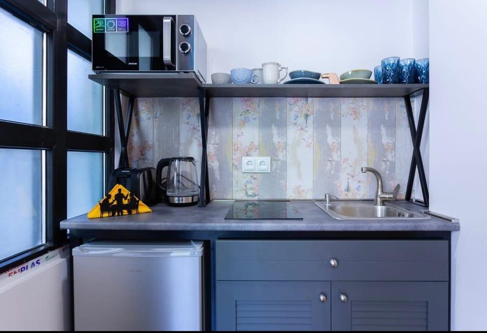 Coffee/tea facilities, Kitchen or kitchenette, minibar, oven, stove, toaster