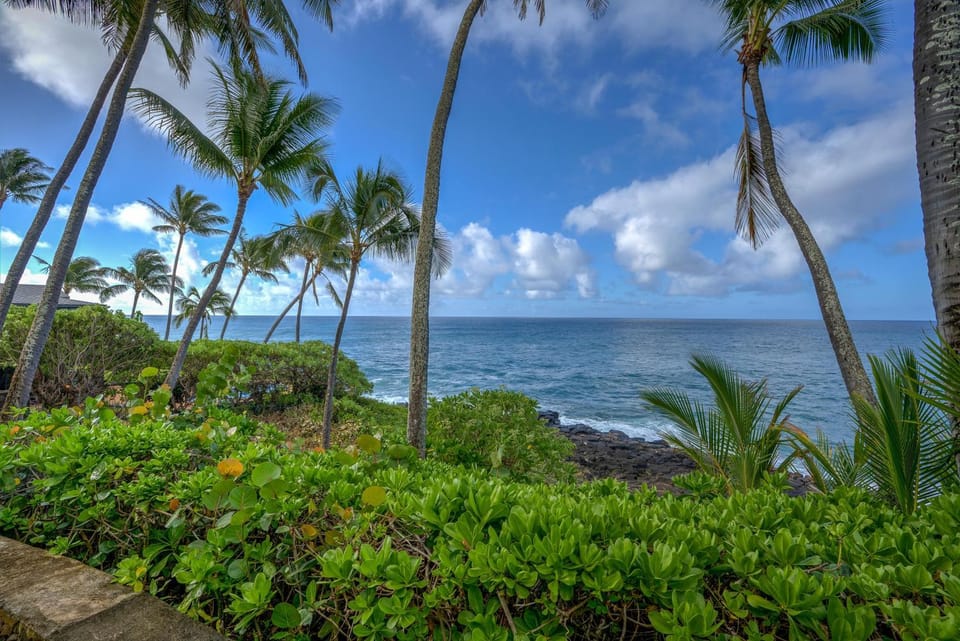 Sea view