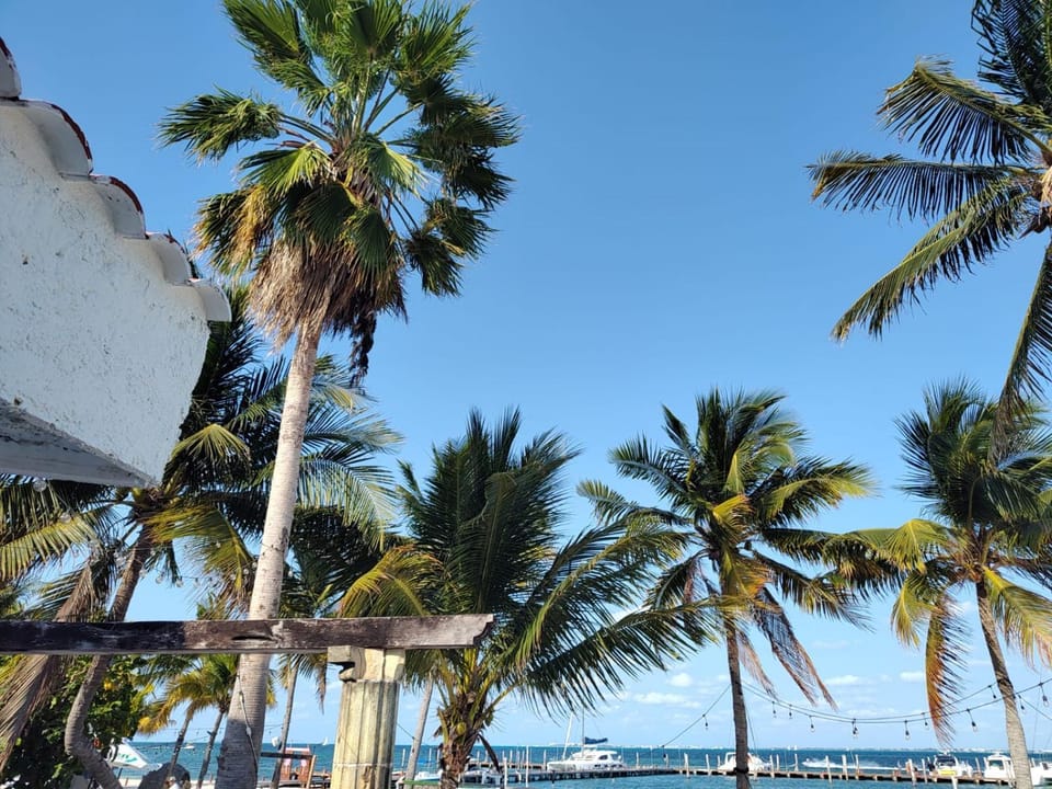ON THE BEACH SURFERS SUNRISE HAVEN 3 Apartment in State of Quintana Roo
