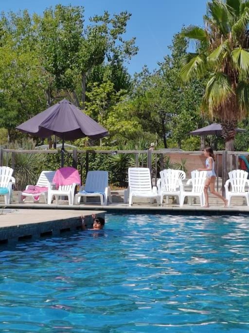 Natural landscape, Garden, Garden view, Pool view, Swimming pool, sunbed