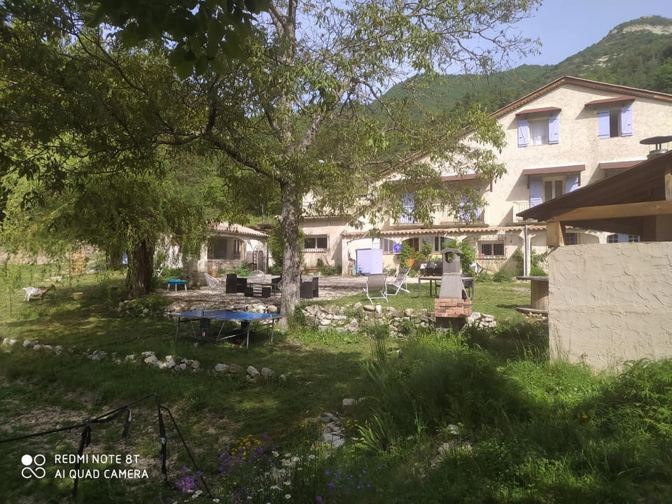 Property building, Garden, Garden view