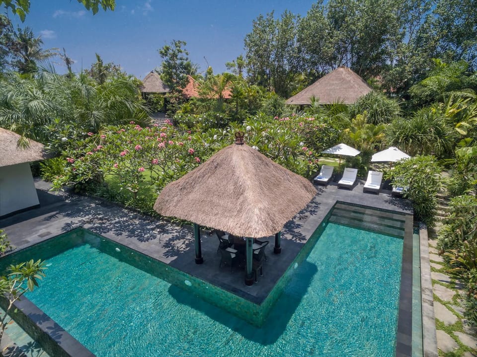 Day, Garden, Garden view, Swimming pool, sunbed