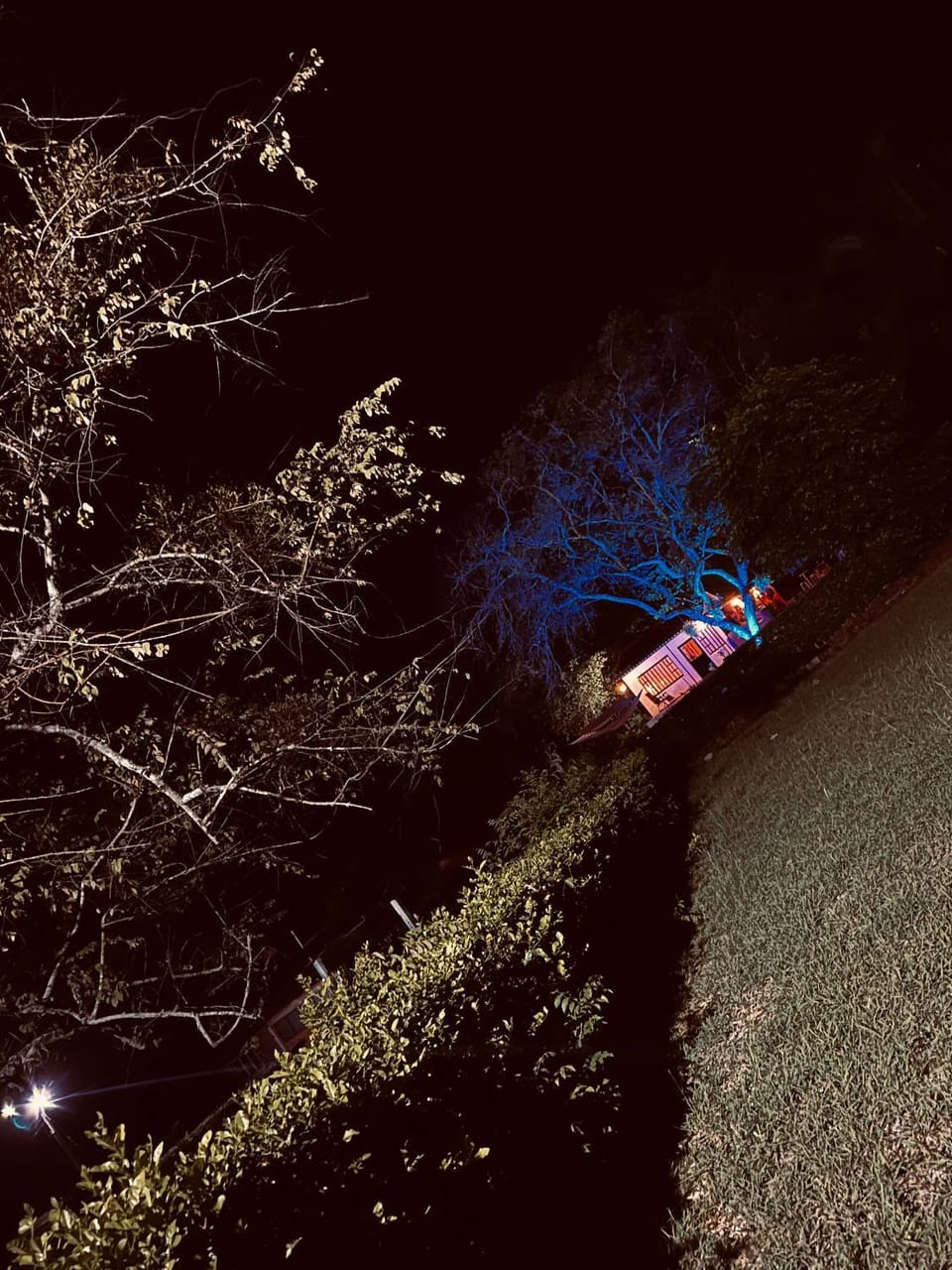 Night, Natural landscape, Garden view
