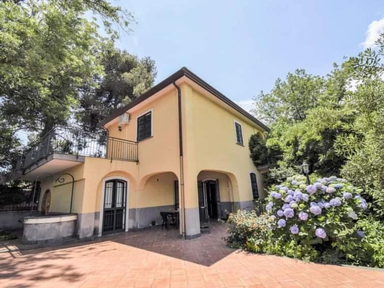 Property building, Day, Garden, Garden view