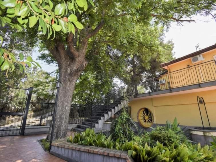 Property building, Spring, Garden, Balcony/Terrace