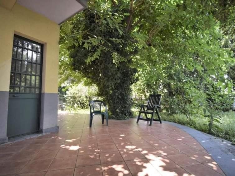 Patio, Day, Garden