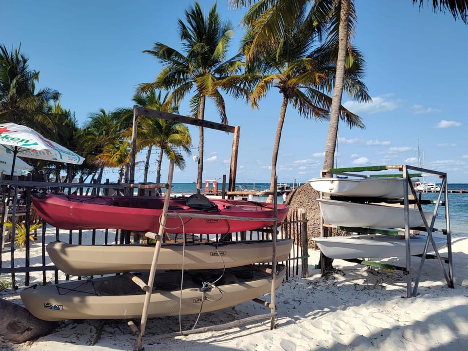 BEACH VILLA SURFERS SUNRISE HAVEN House in State of Quintana Roo