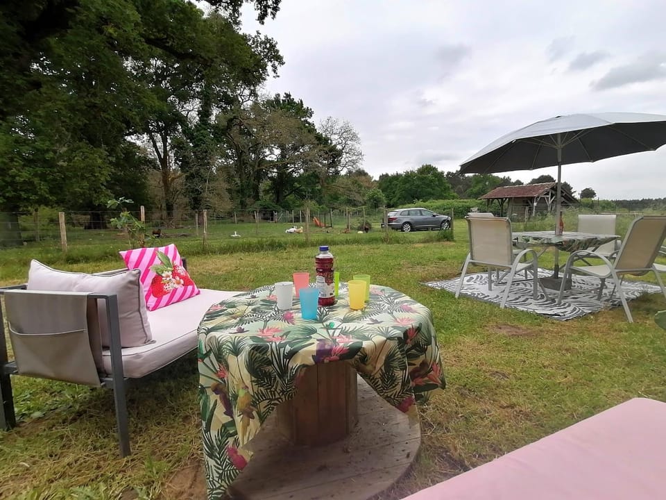 Natural landscape, Garden