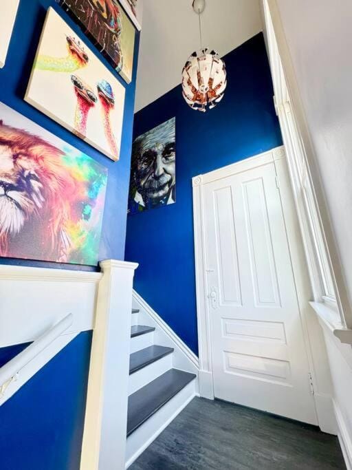 Brand new! Walk to all + 12 mins to Derby! Apartment in Louisville