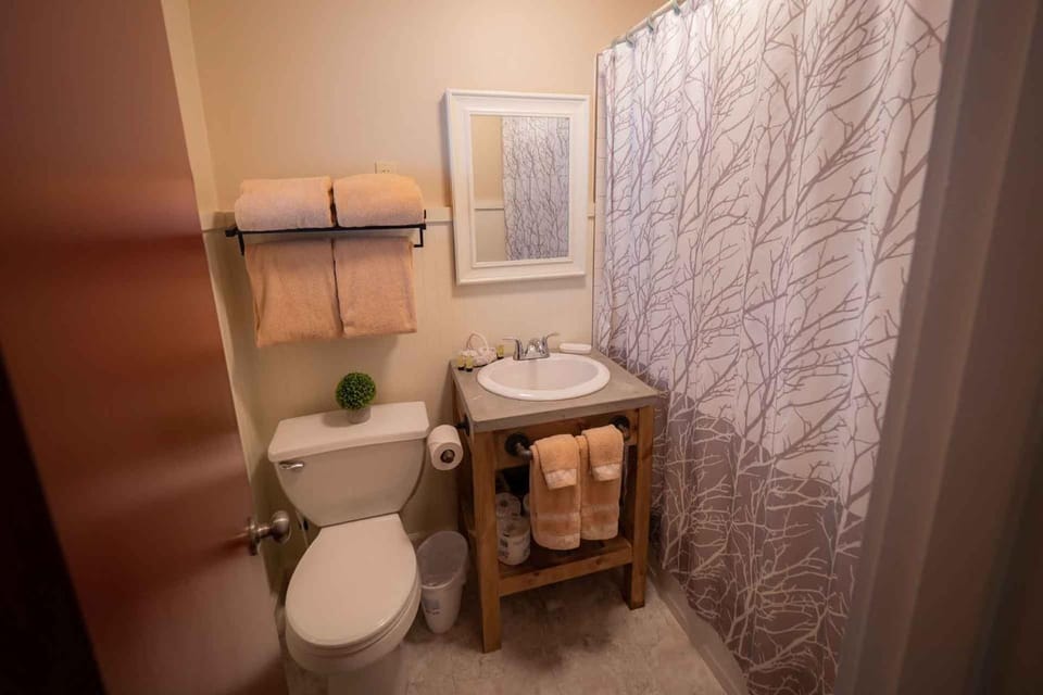 Toilet, Bathroom, towels