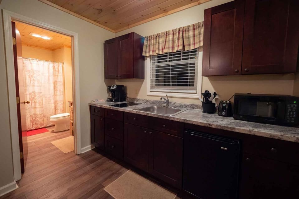 Kitchen or kitchenette, minibar, stove