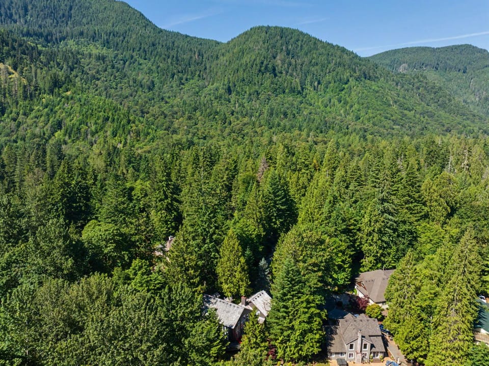 Lazy Bear Lodge · Spacious 6BR Lodge with Chef's Kitchen, Hot Tub, Golf Views and more House in Welches