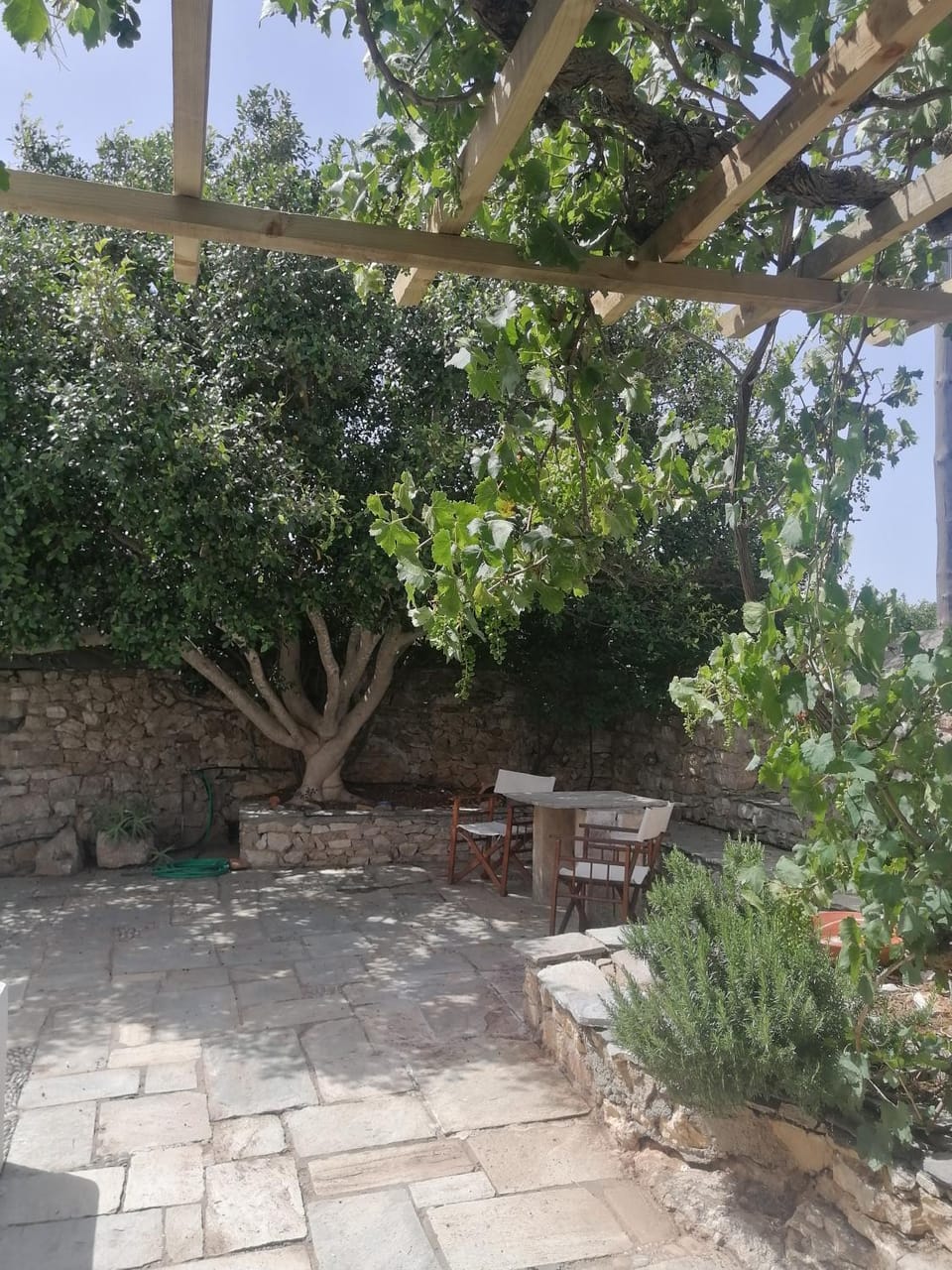 Inner courtyard view