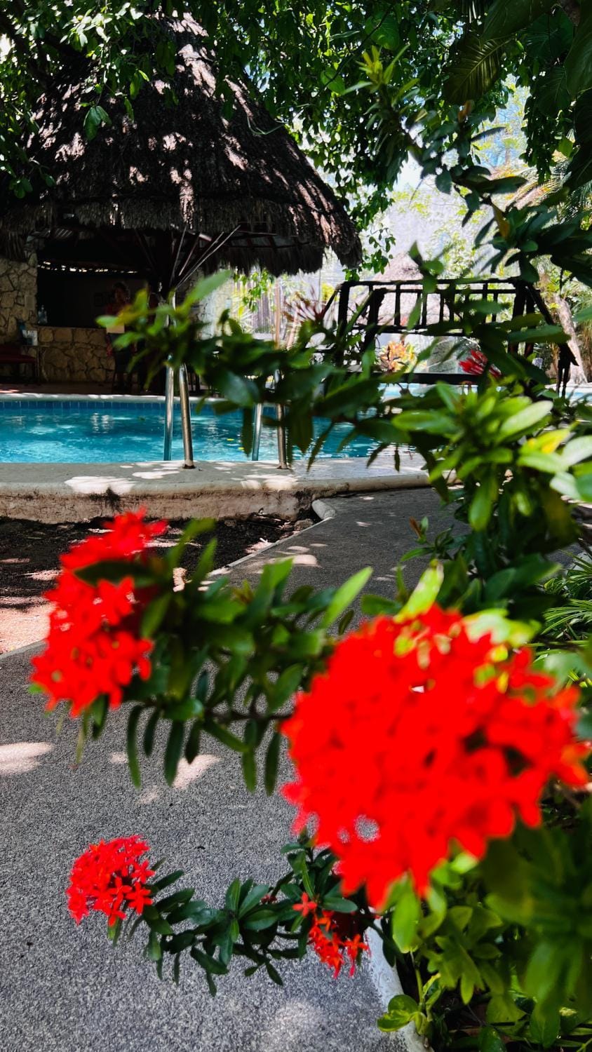 Pool view