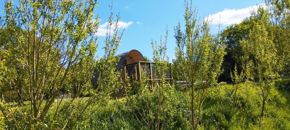 Natural landscape, Garden view