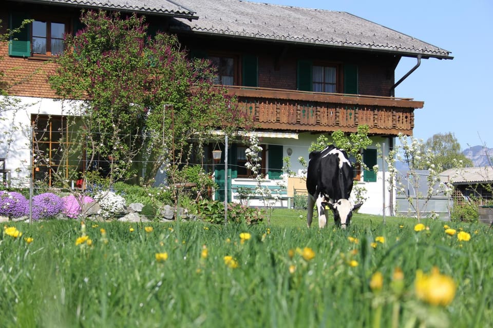 View (from property/room)