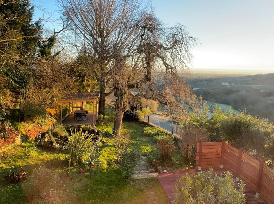 Natural landscape, Garden, Garden view