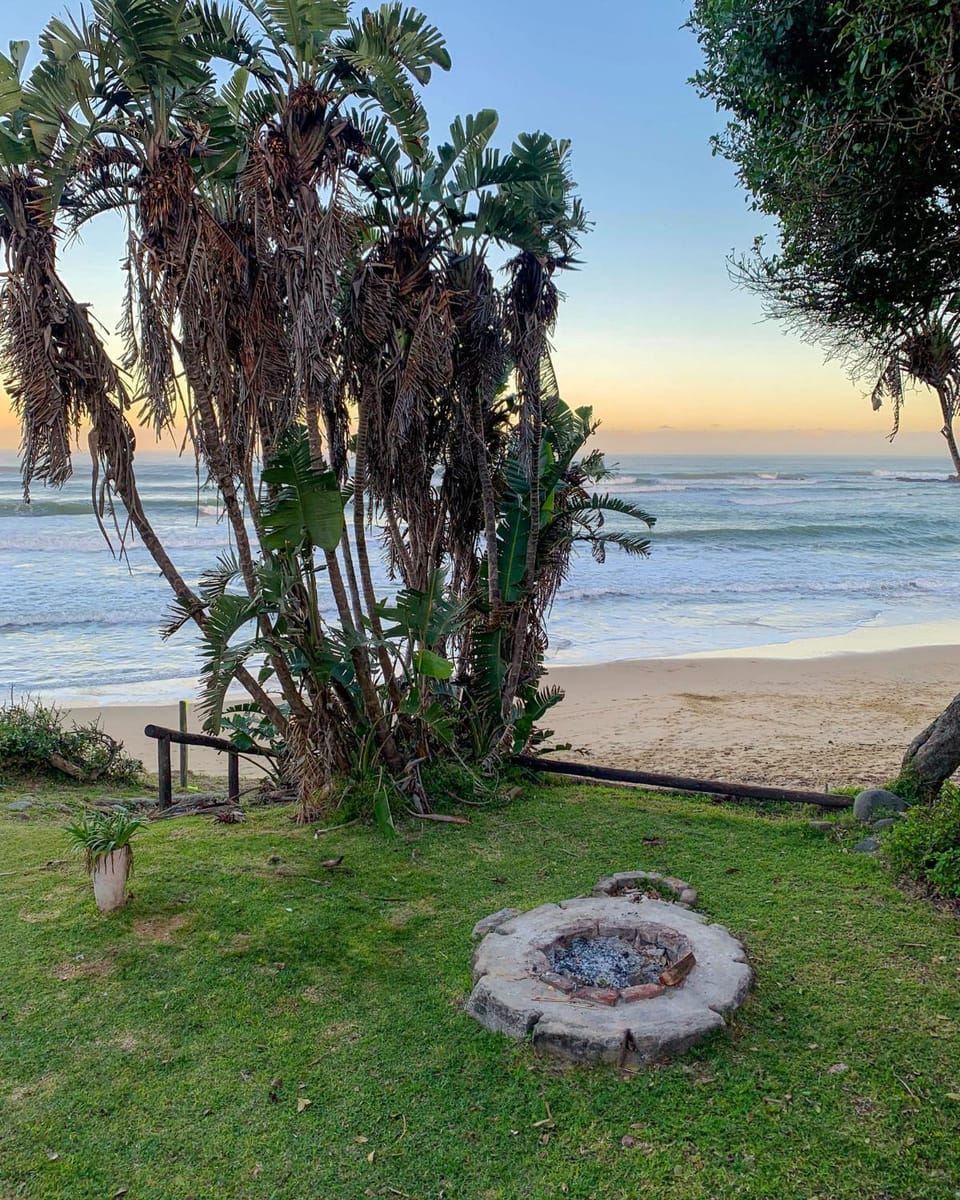 Garden, Garden, Beach, Garden view, Sea view
