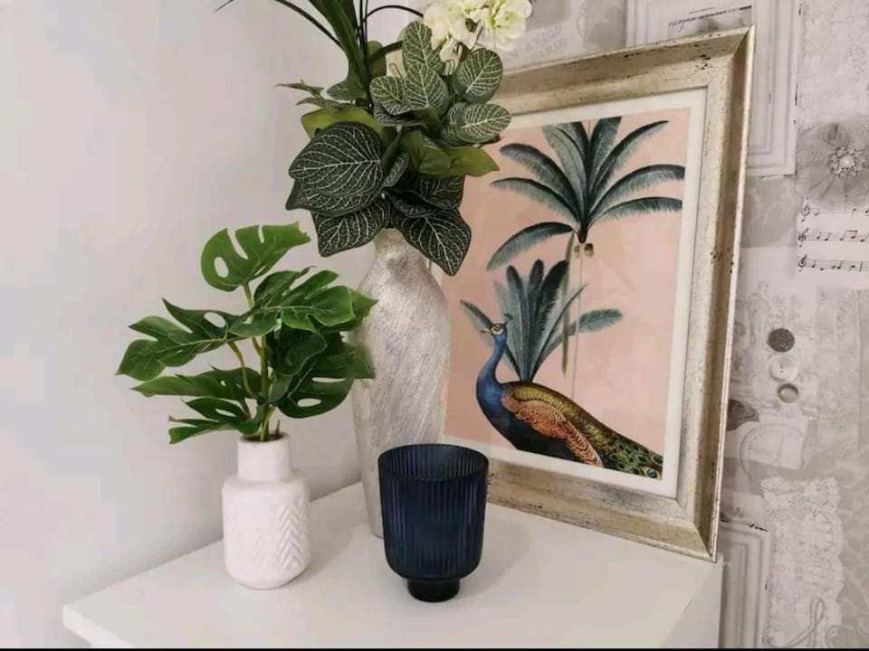 Woods view, central thornaby House in England