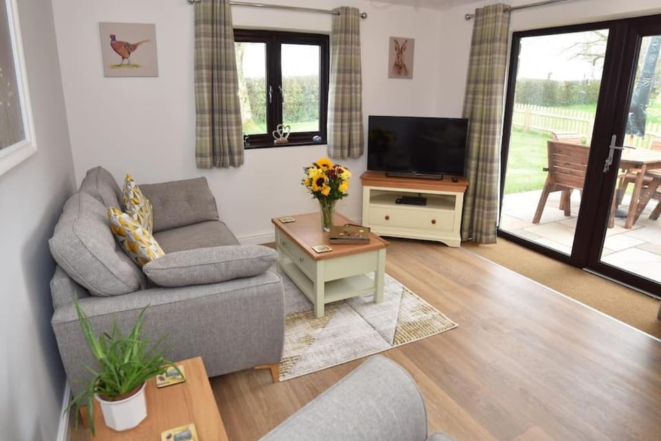 TV and multimedia, Living room, Seating area, Garden view