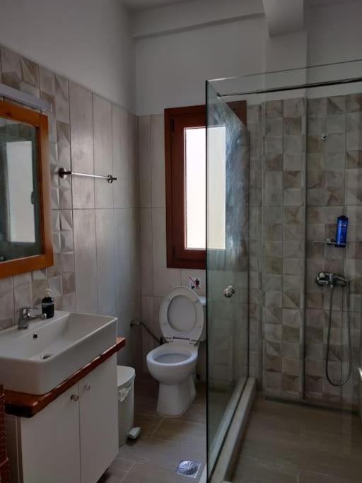 Όμορφο διαμέρισμα με θέα το Αιγαίο Apartment in Samos, Greece