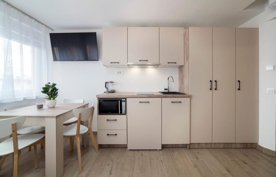 Kitchen or kitchenette, minibar, stove