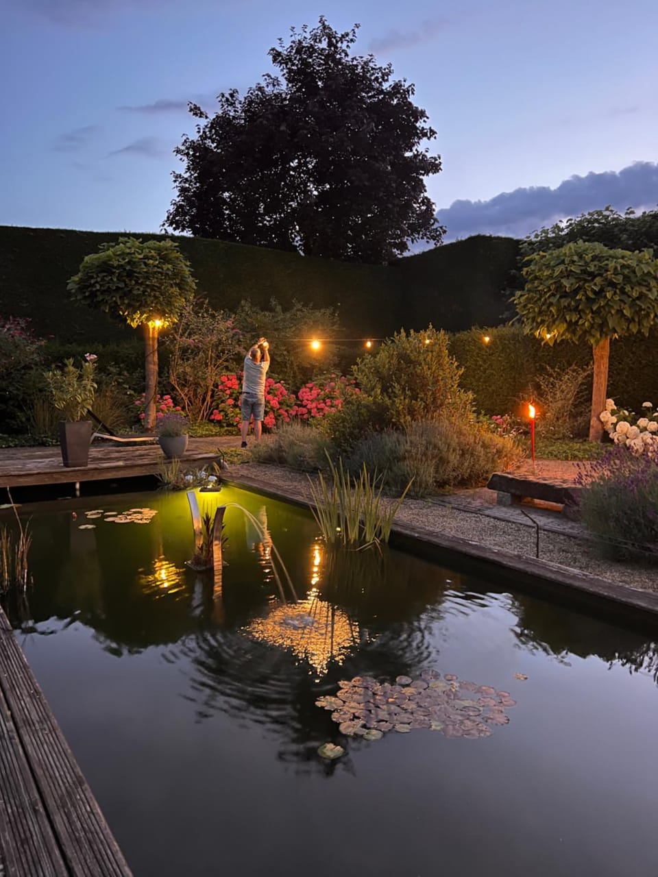 Night, Garden, Garden view, Swimming pool