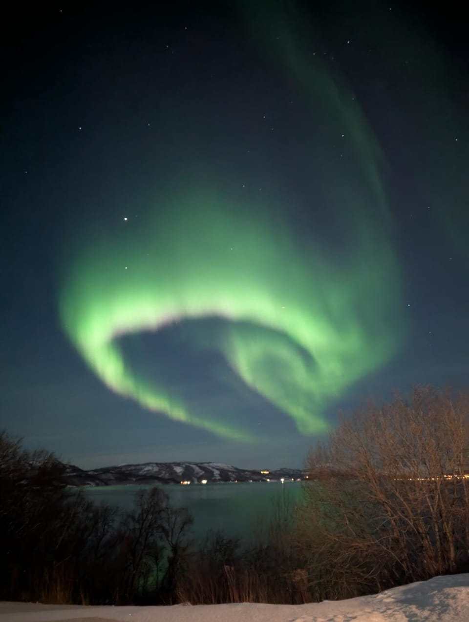 Senja - Charming cottage by the sea with terrace and fantastic view House in Nordland, Norway