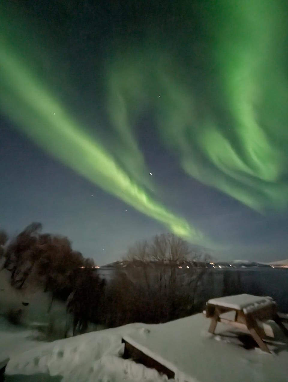 Senja - Charming cottage by the sea with terrace and fantastic view House in Nordland, Norway