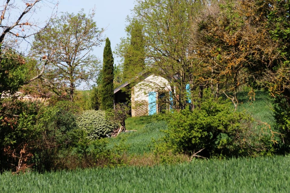 Natural landscape, Garden, Garden view