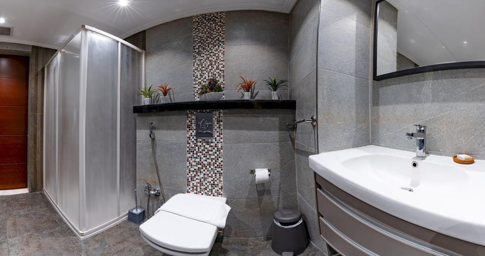 Shower, Toilet, Bathroom, towels