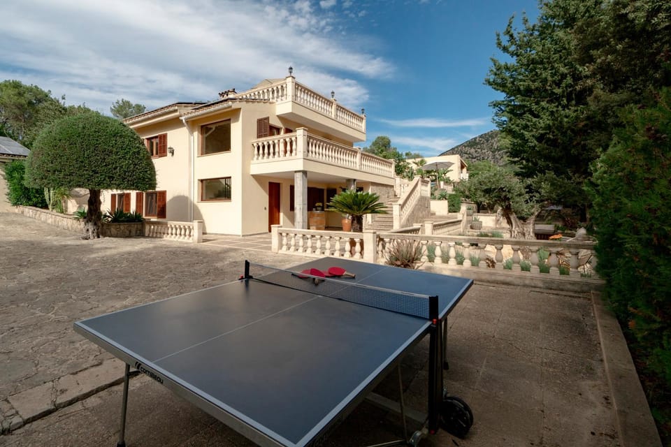 Property building, Table tennis, Sports