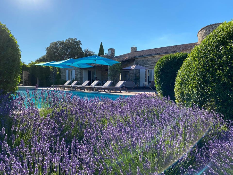 La maison de Inna House in Bonnieux