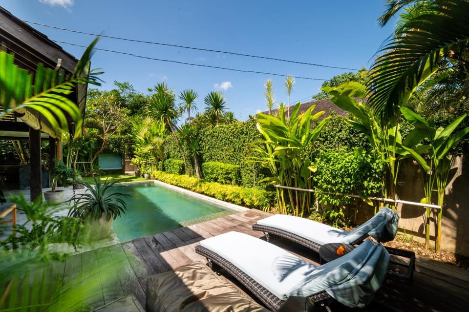 Patio, Day, Natural landscape, Garden, Garden view, Pool view, Swimming pool, Swimming pool, sunbed, sunbed