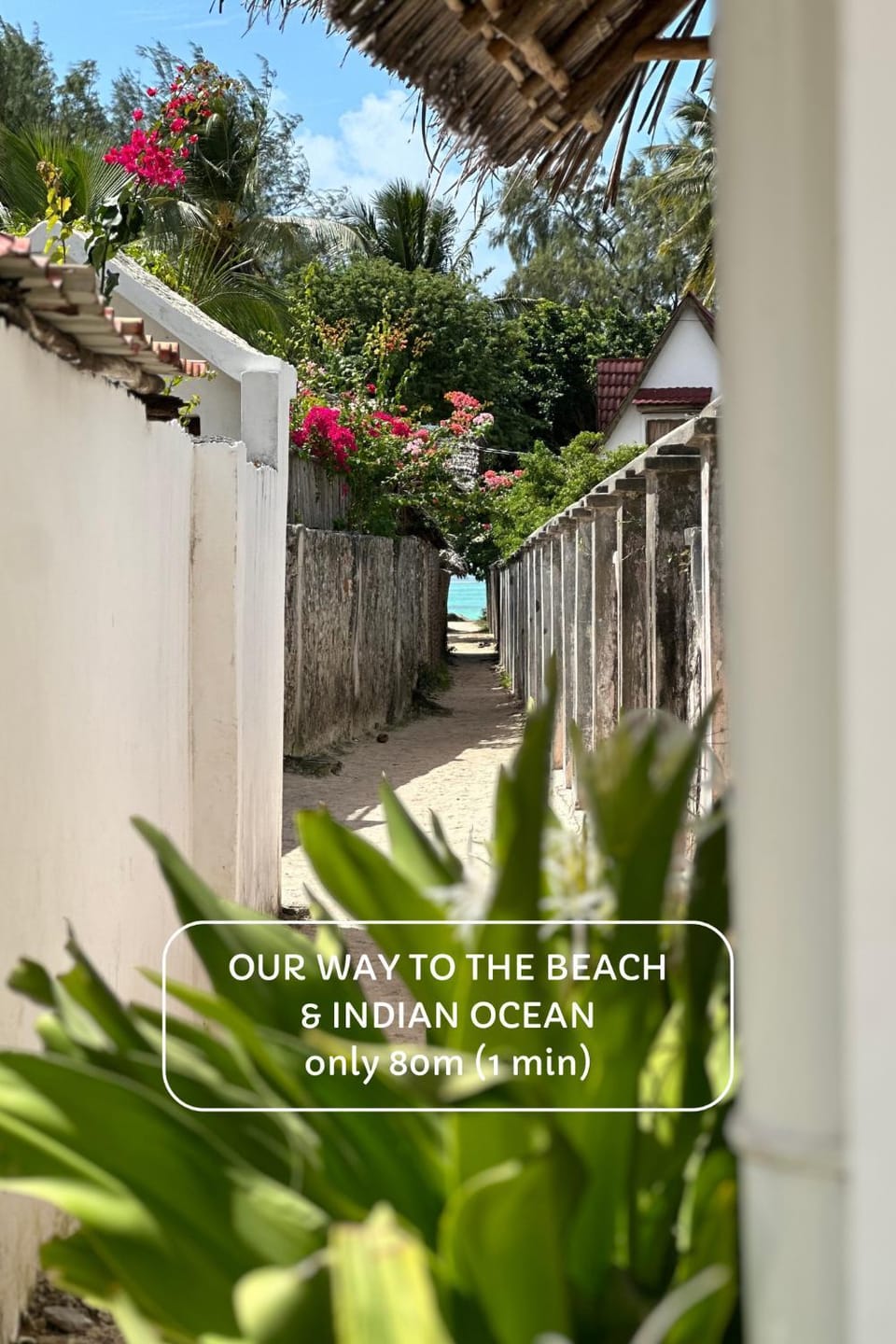 Mlango Paje Villa Boutique Bed and Breakfast in Tanzania
