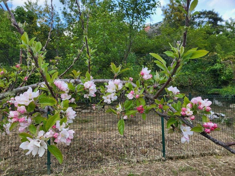 Garden, Garden