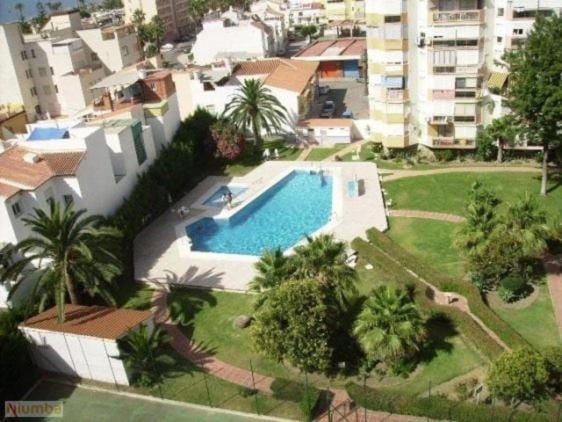 Garden, Swimming pool