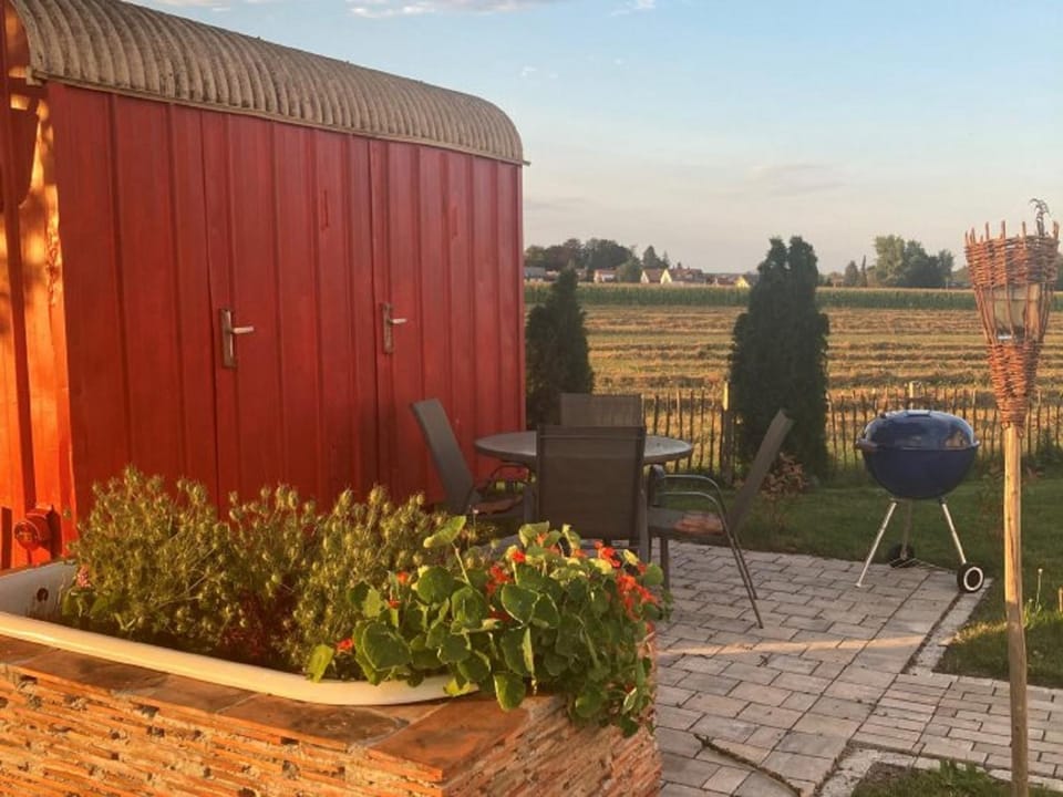 Patio, Garden view