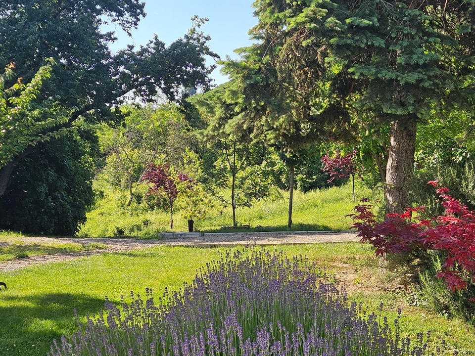 Natural landscape, Garden, Garden view