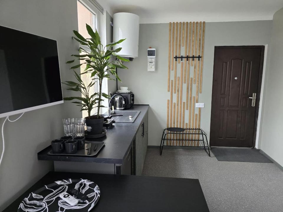 Old Riga over the river, Free parking, up to 4ppl. Self Check-in\out Apartment in Riga