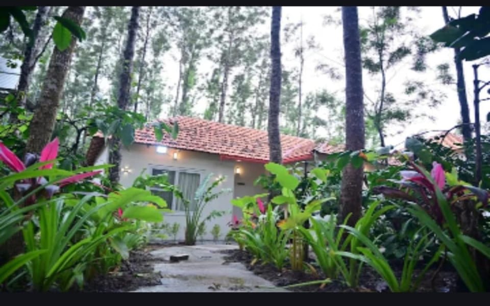 Property building, Spring, Day, Garden, Garden view