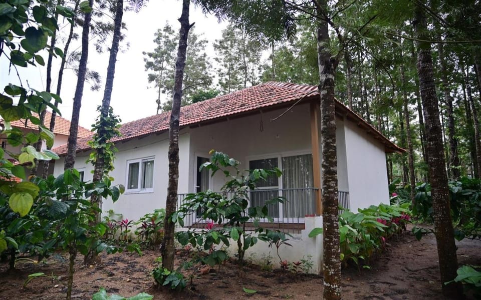 Property building, Day, Garden