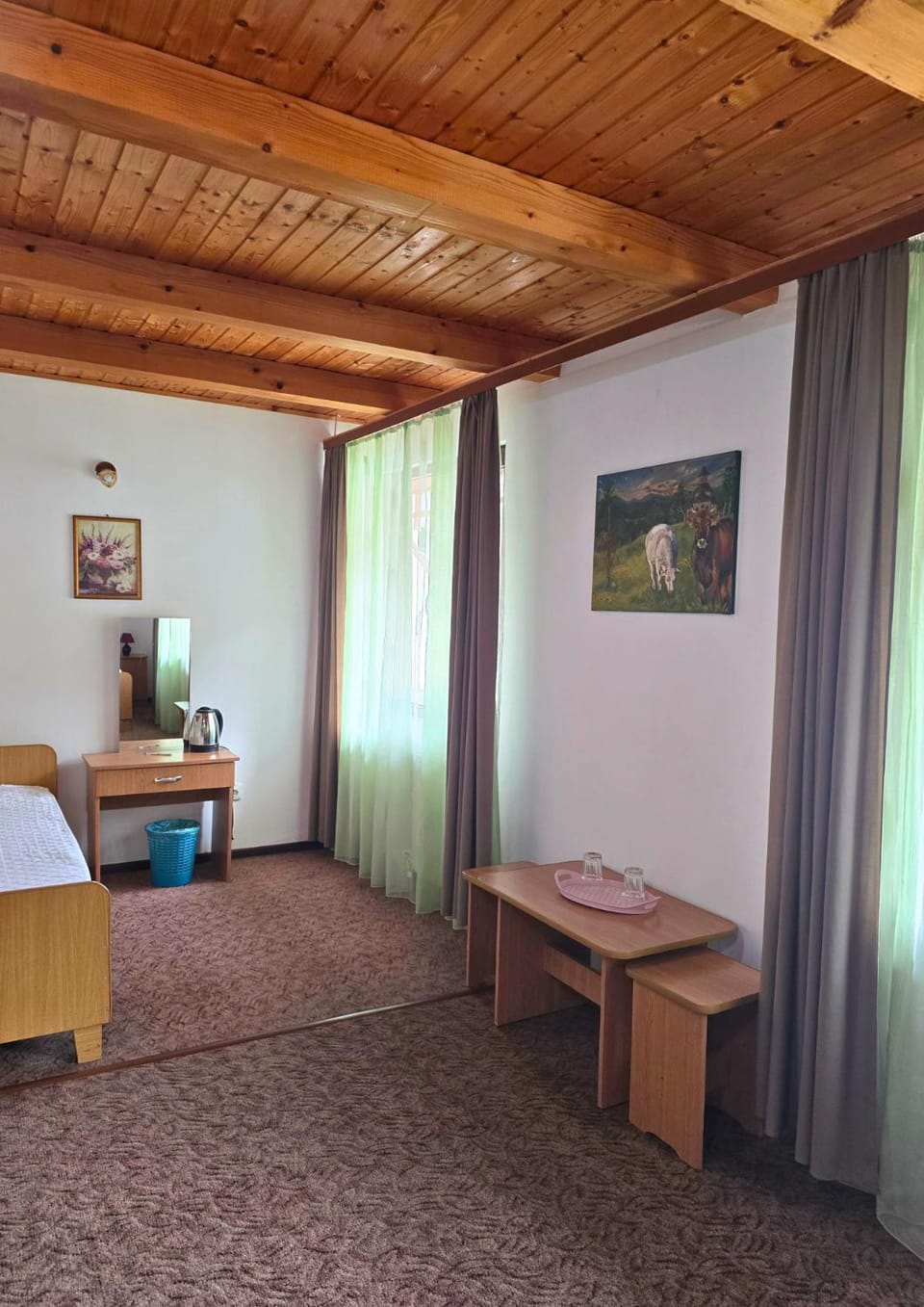 Vila Pufu Hotel in Romania